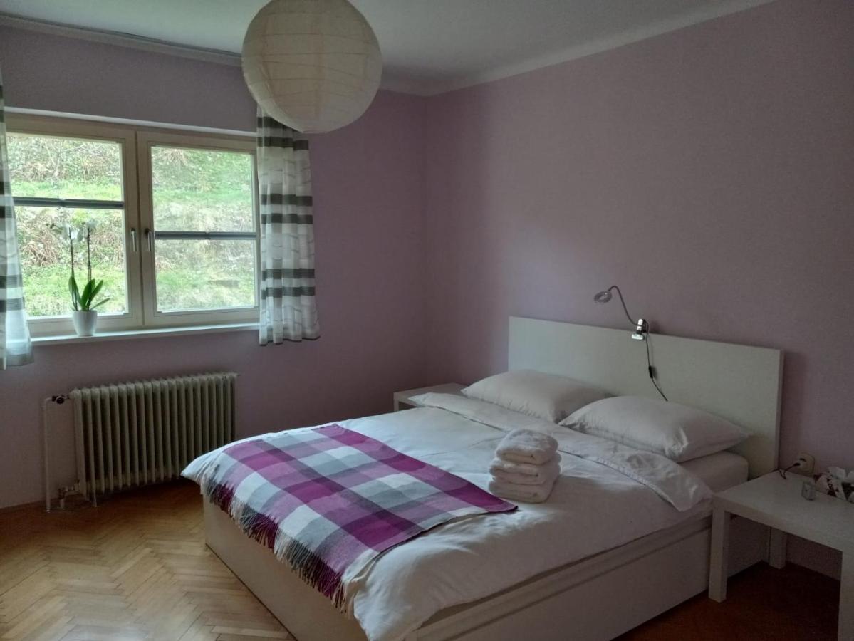 Lovely 2-Bedroom Appartment With Free Parking Dobrova Экстерьер фото